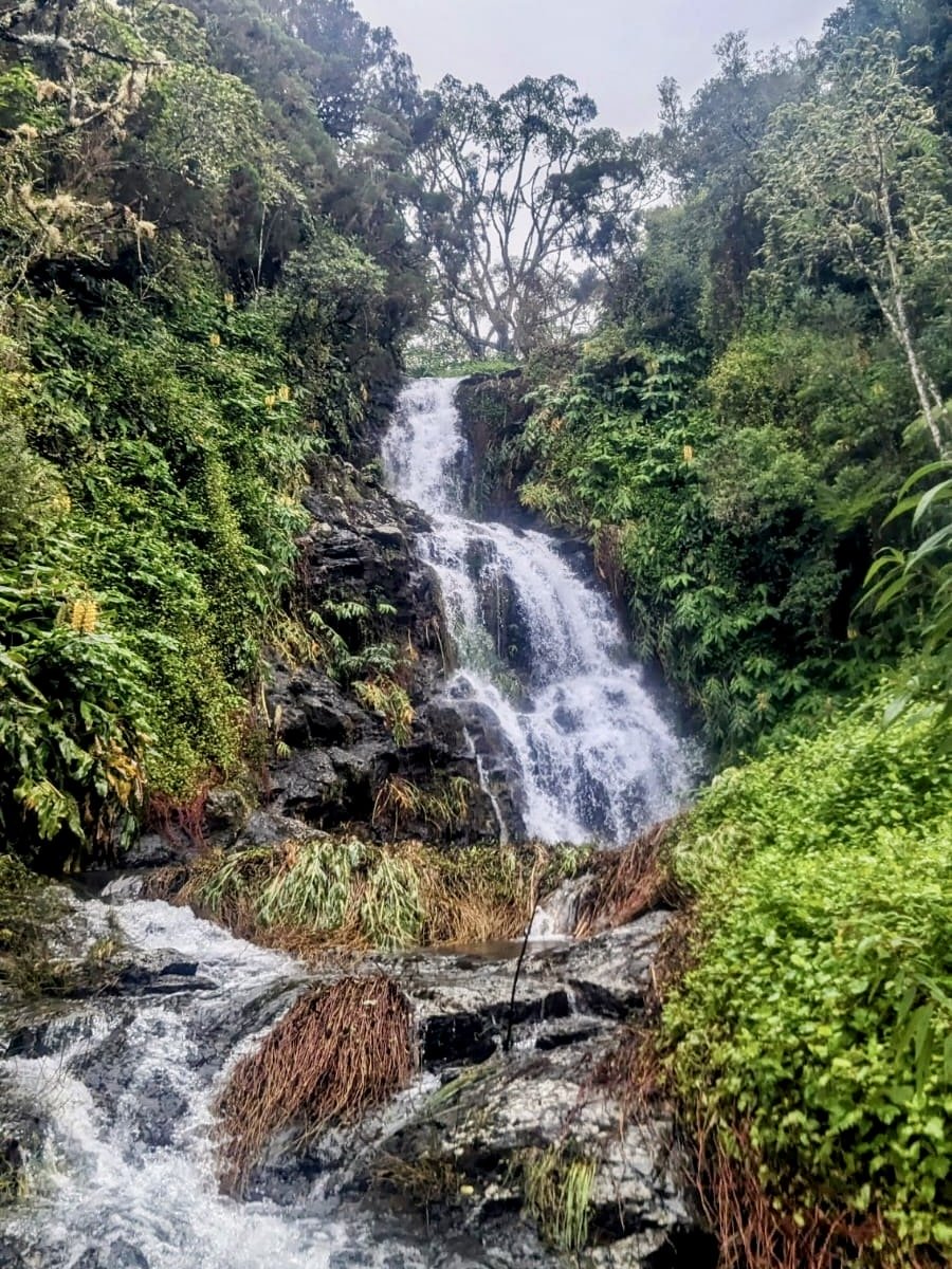 bras-de-jeanne photo 2